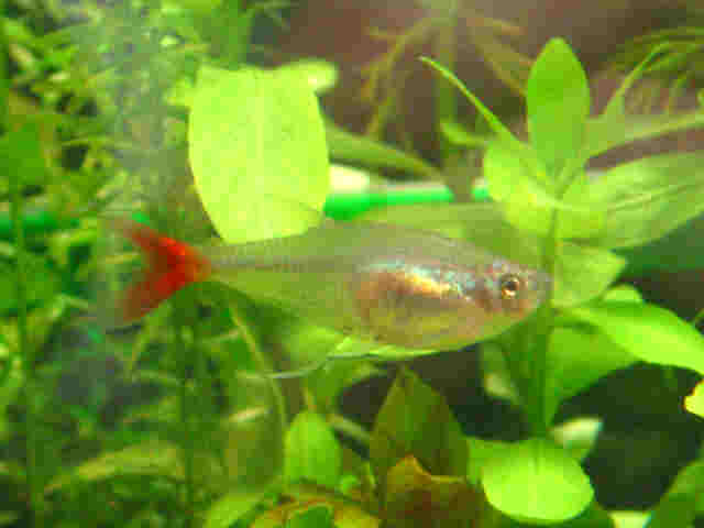 OXEubhtB1